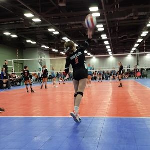 Meet your Posher, Timmy